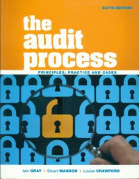 THE AUDIT PROCESS